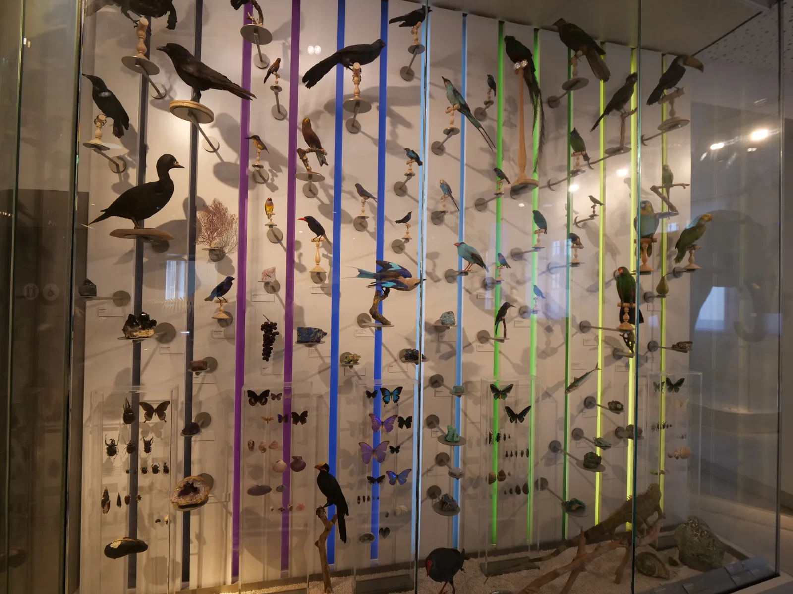 Details at Muséum de Bordeaux Bordeaux — travel photo