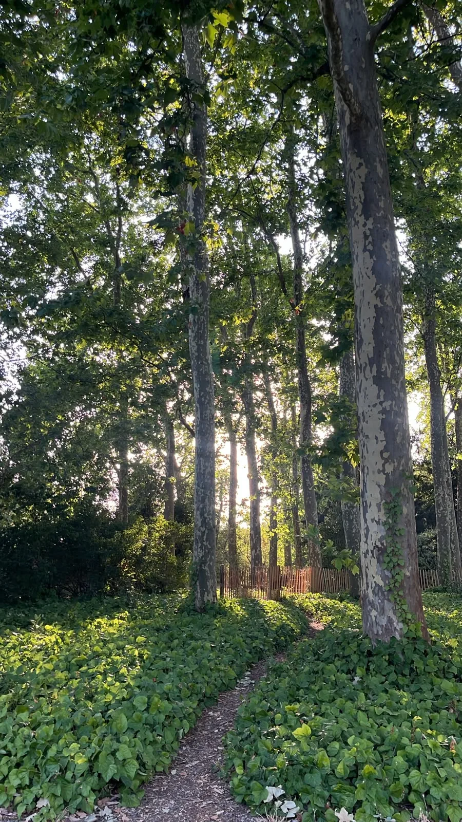 Main view at Parc Bordelais Bordeaux — travel photo
