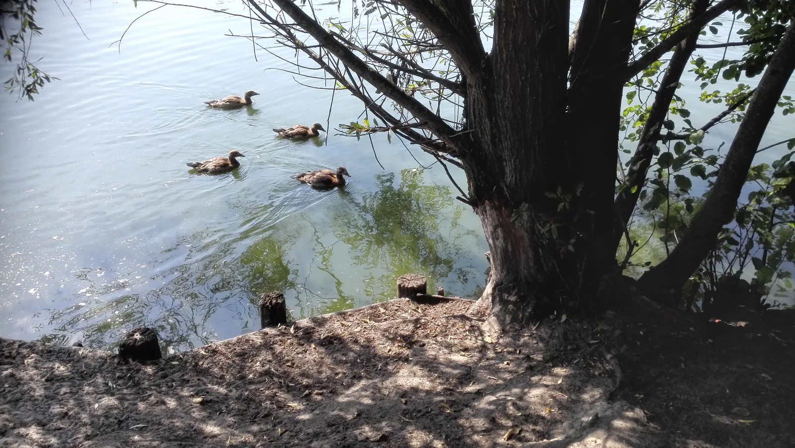 Atmosphere at Parc de Bourran Bordeaux — travel photo