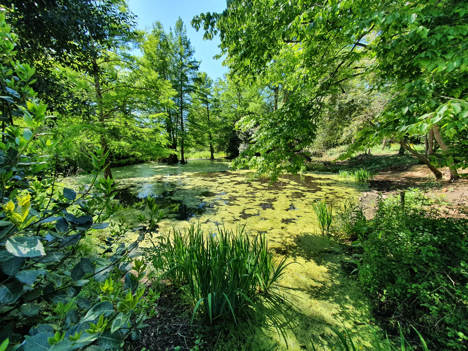 Interior at Parc de Tenet Bordeaux — travel photo