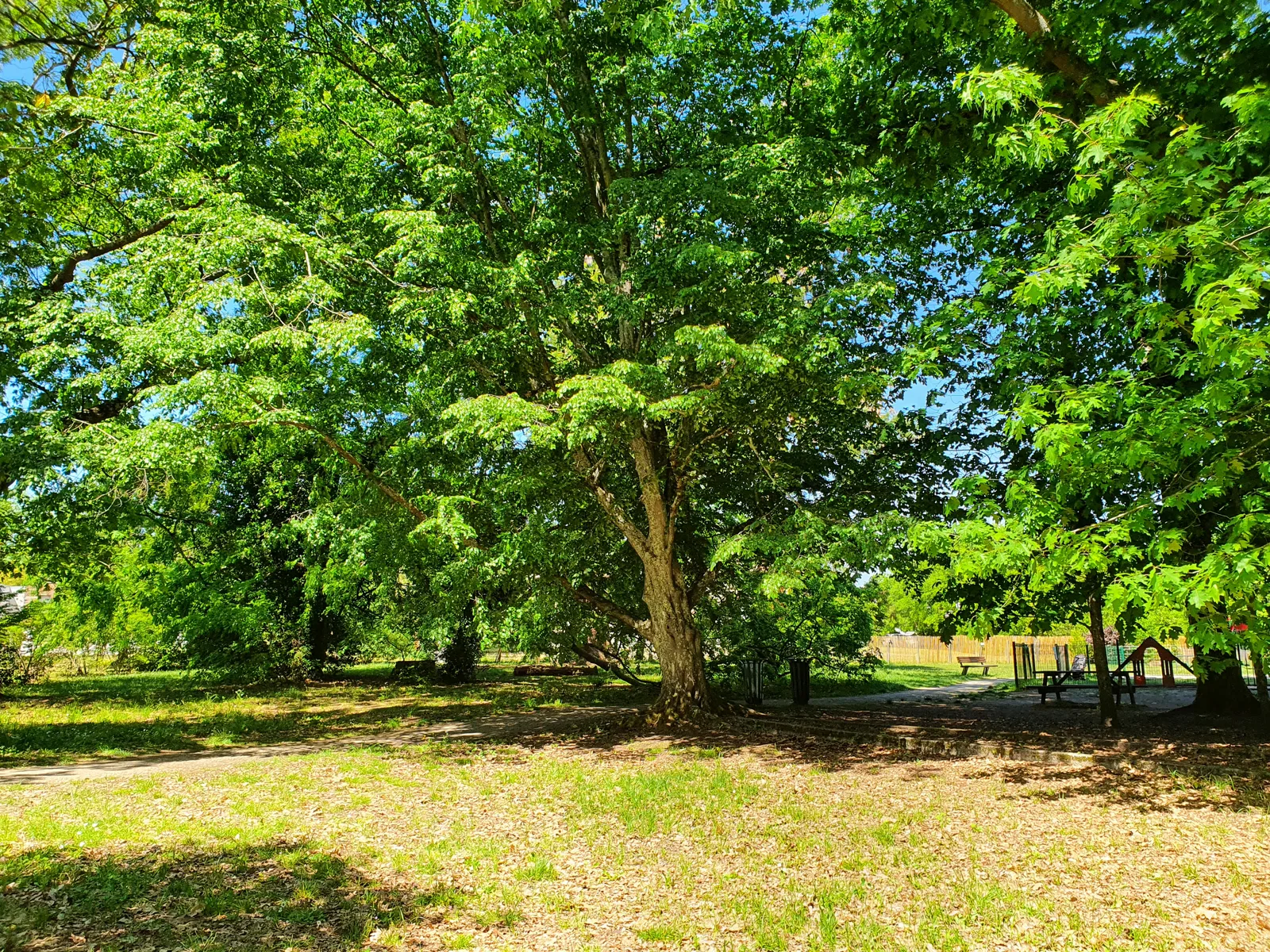 Atmosphere at Parc de Tenet Bordeaux — travel photo