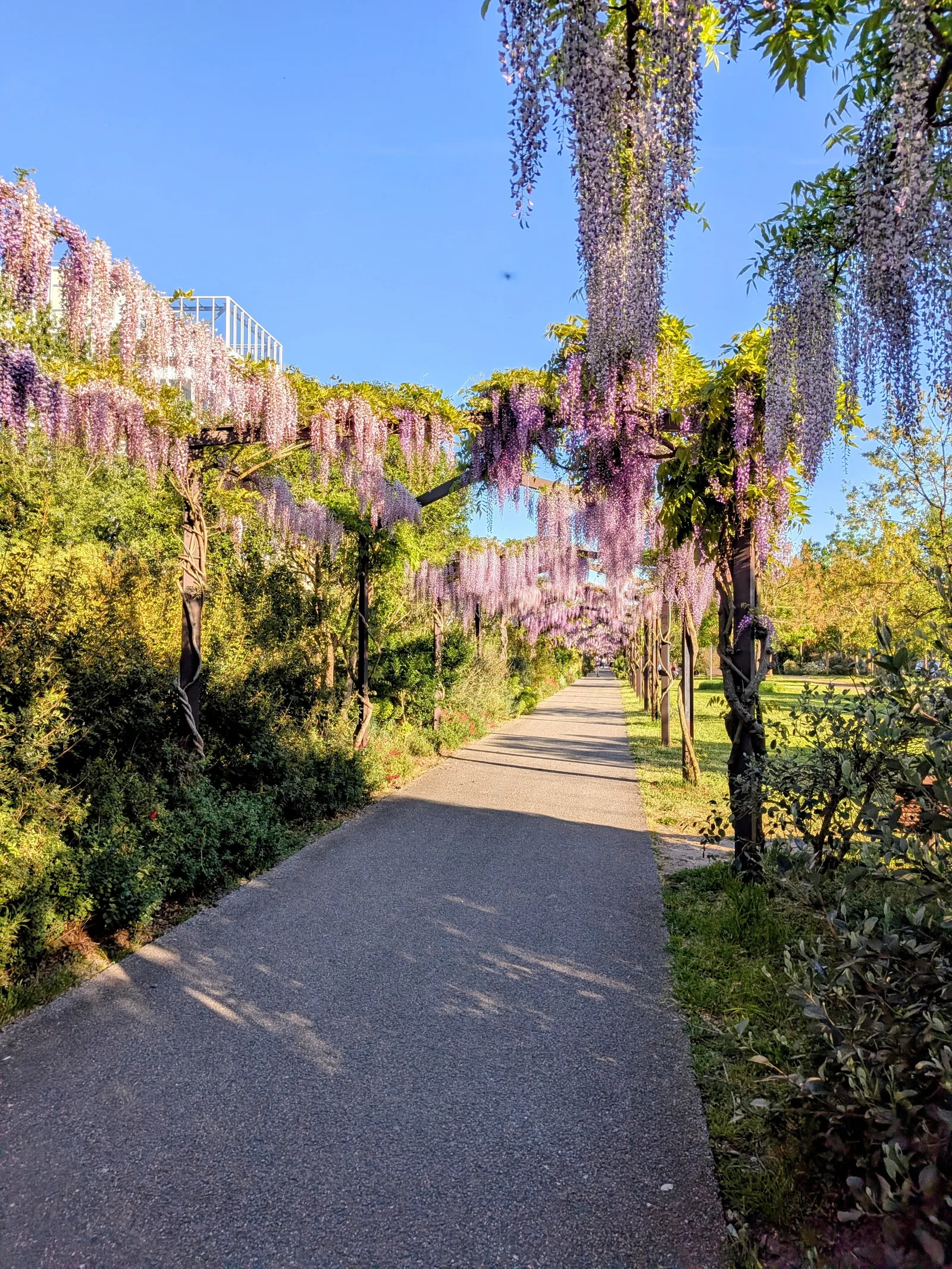 Main view at Parc des Berges Bordeaux — travel photo