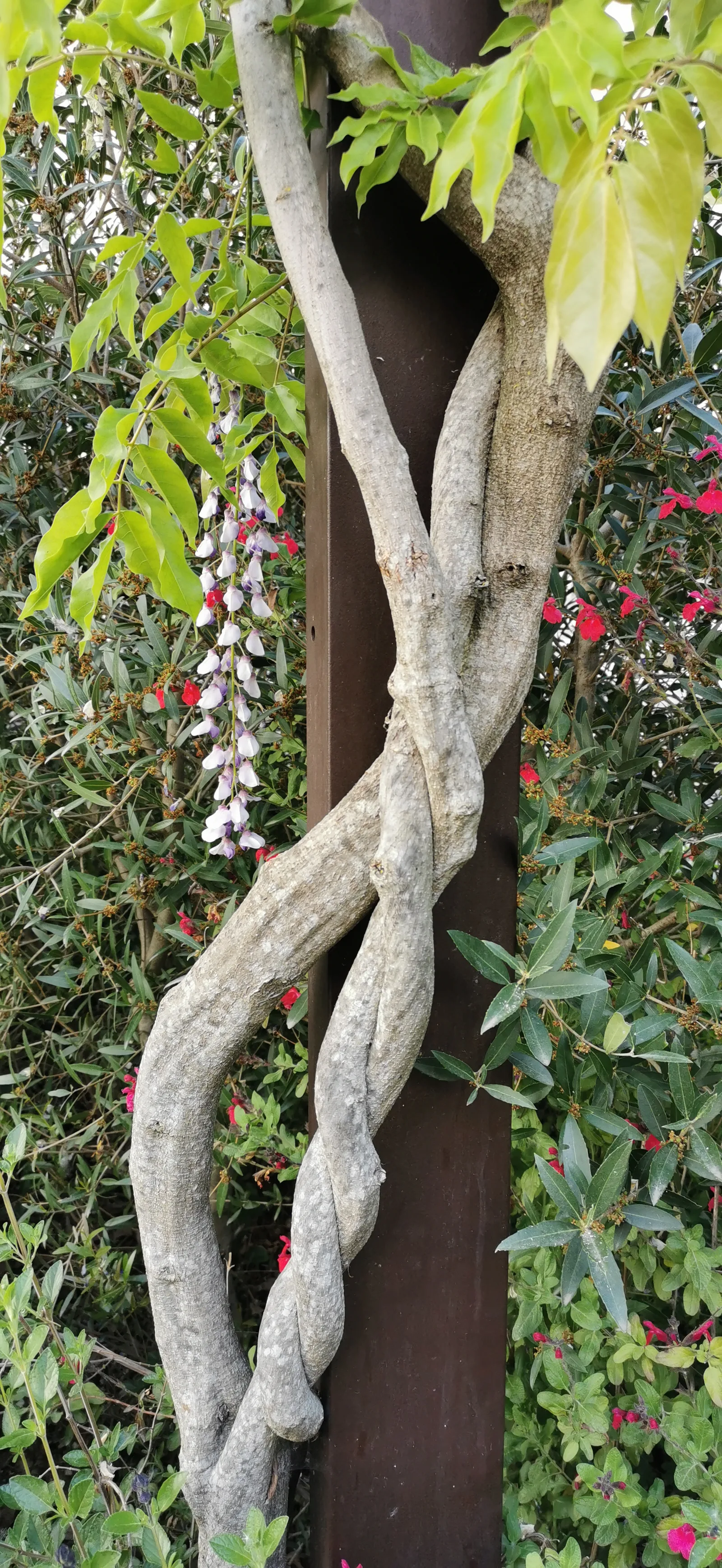 Details at Parc des Berges Bordeaux — travel photo