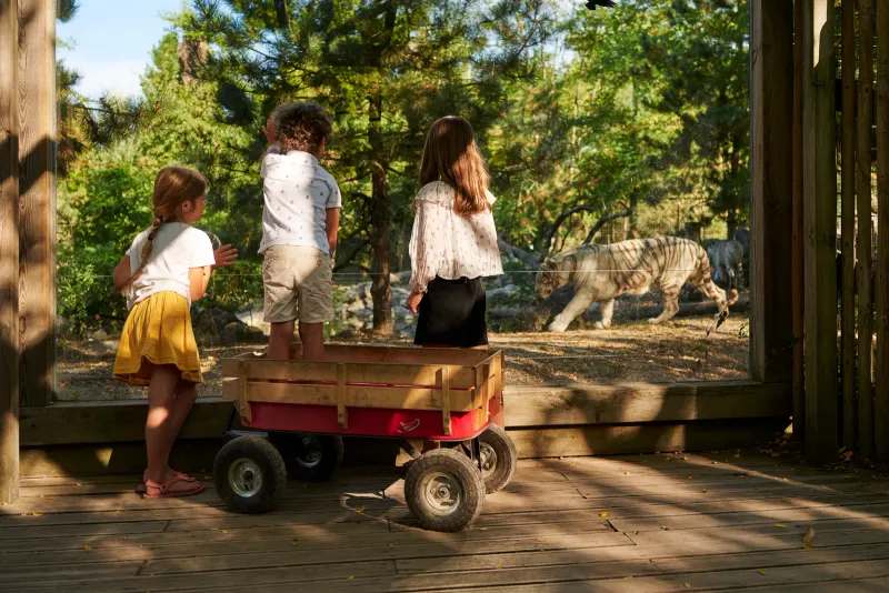 Zoo de Bordeaux-Pessac in Bordeaux