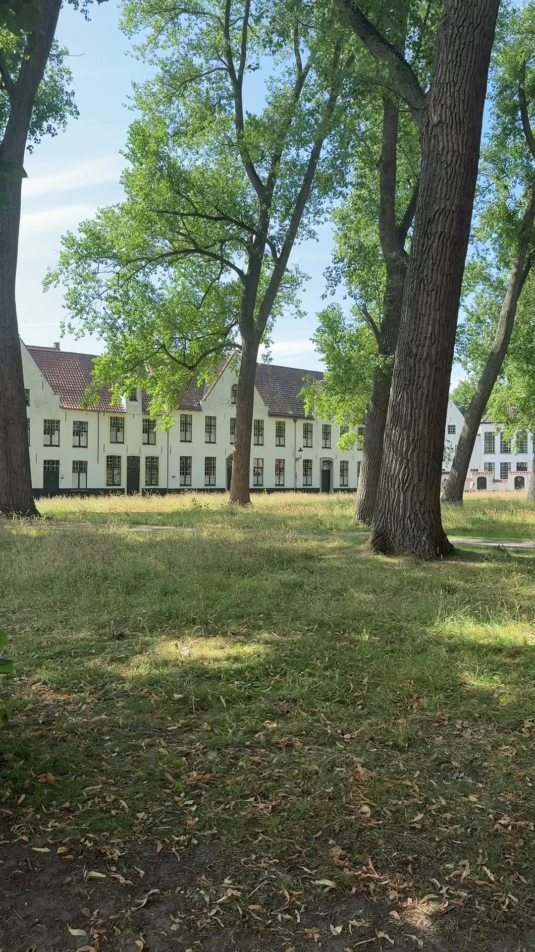 Main view at Beguinage "Ten Wijngaerde" Brugge — travel photo