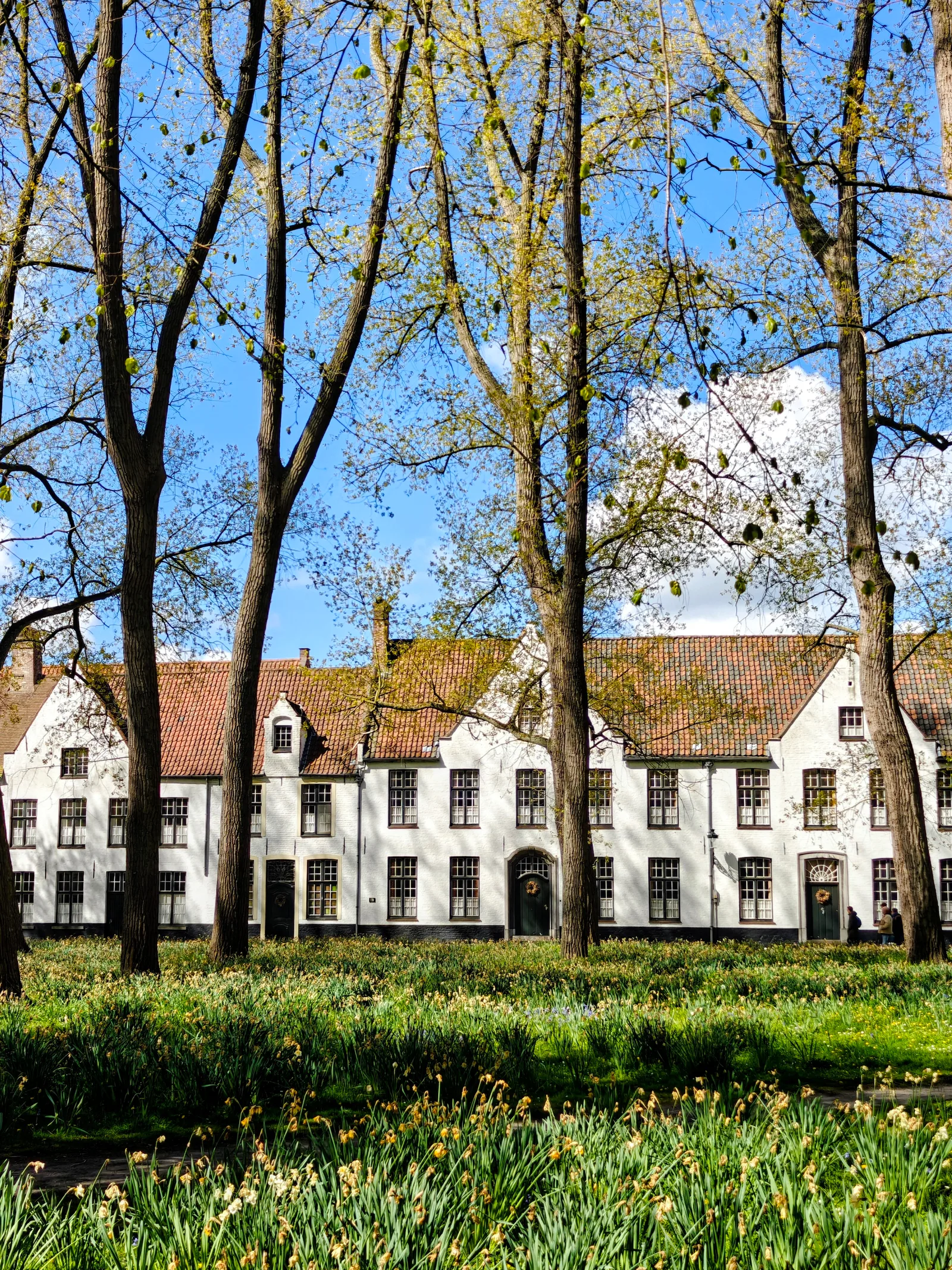 Interior at Beguinage "Ten Wijngaerde" Brugge — travel photo