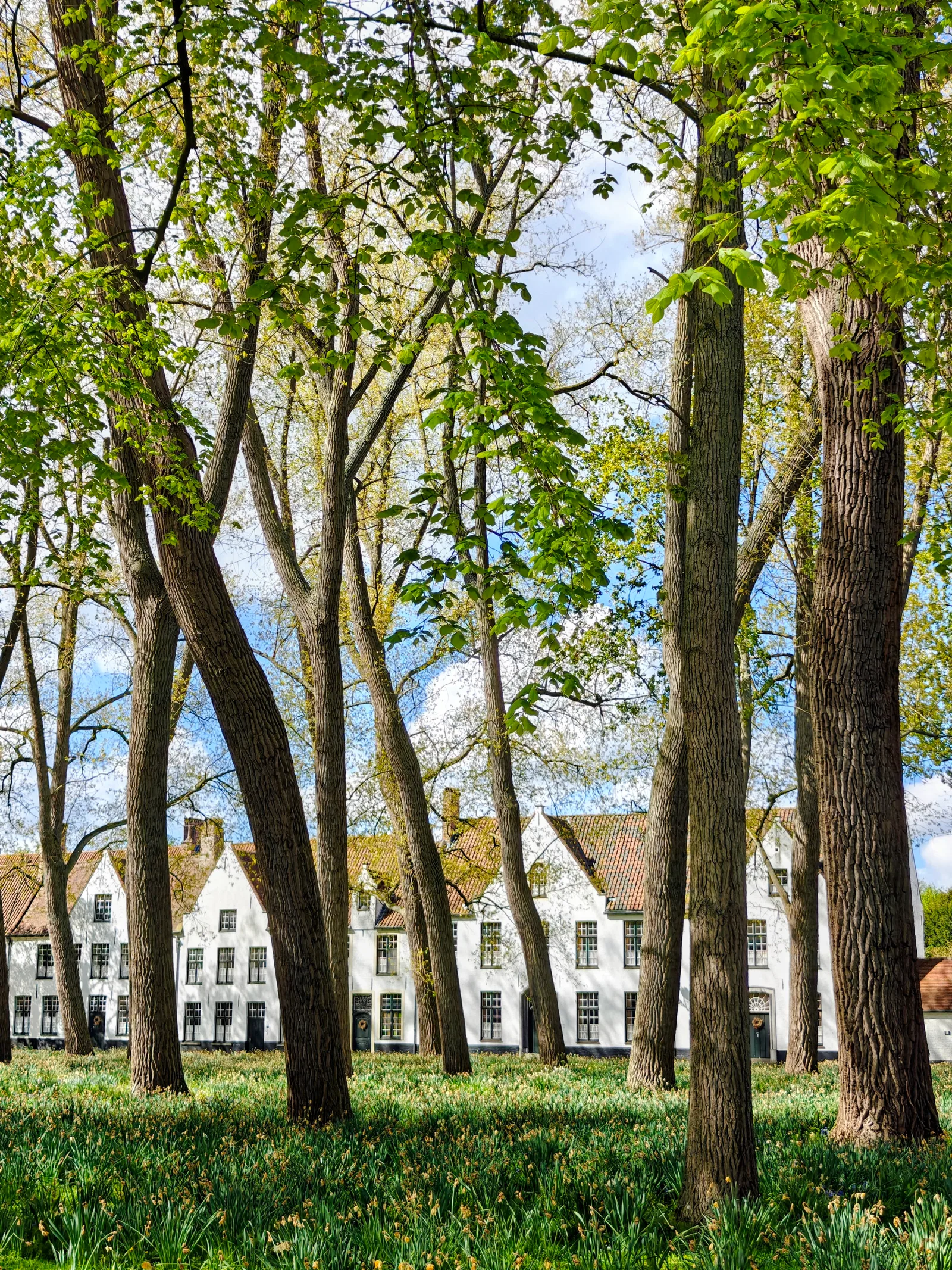 Details at Beguinage "Ten Wijngaerde" Brugge — travel photo