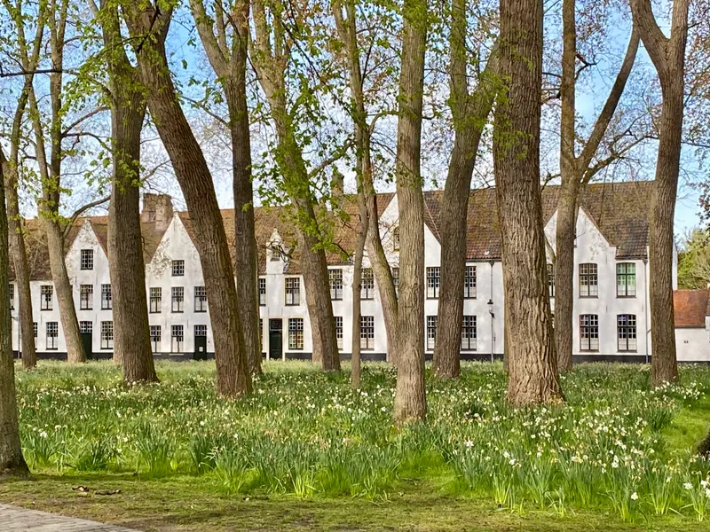 Beguinage "Ten Wijngaerde"