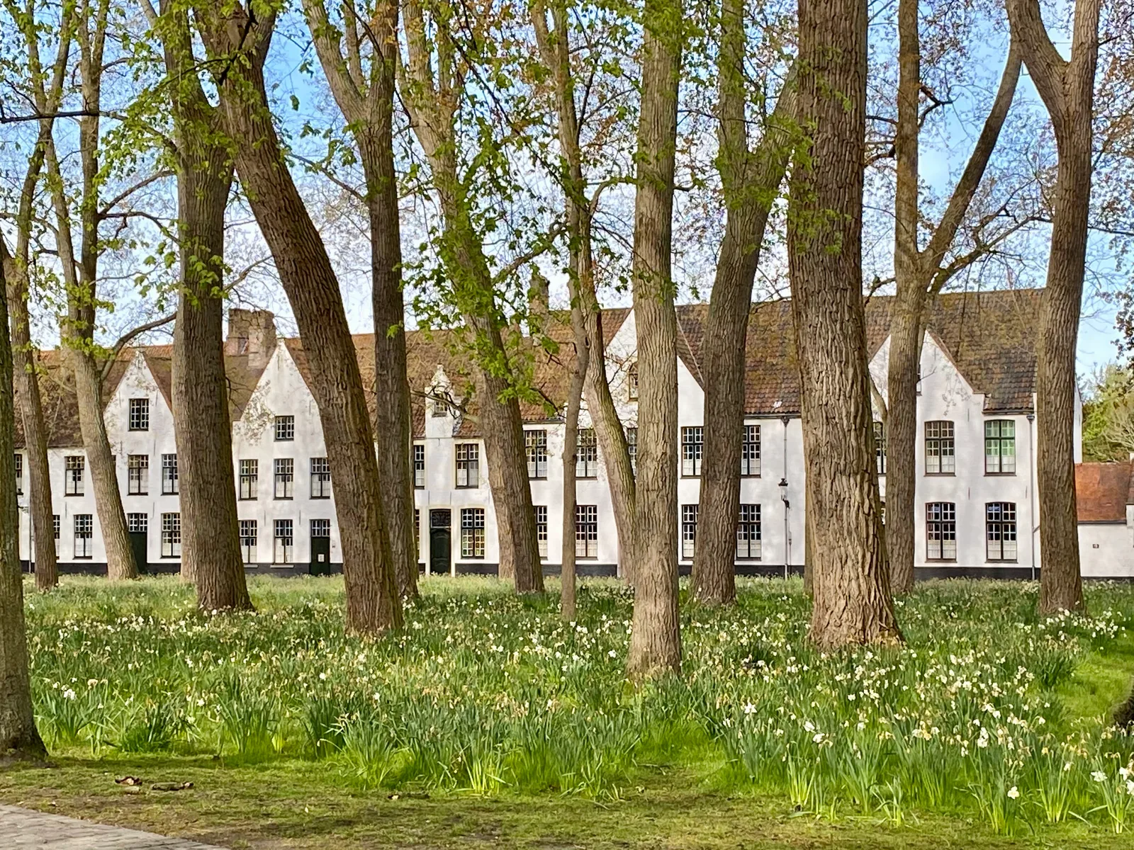 Beguinage "Ten Wijngaerde"