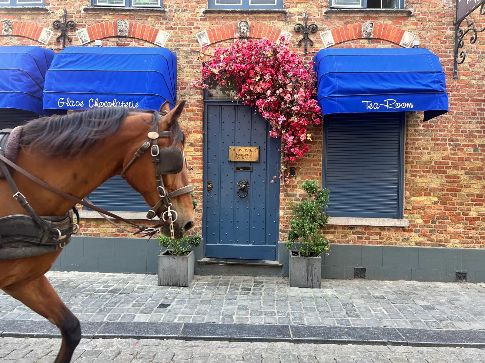 Interior at Carpe Diem Bakery & Tea-room Brugge — travel photo
