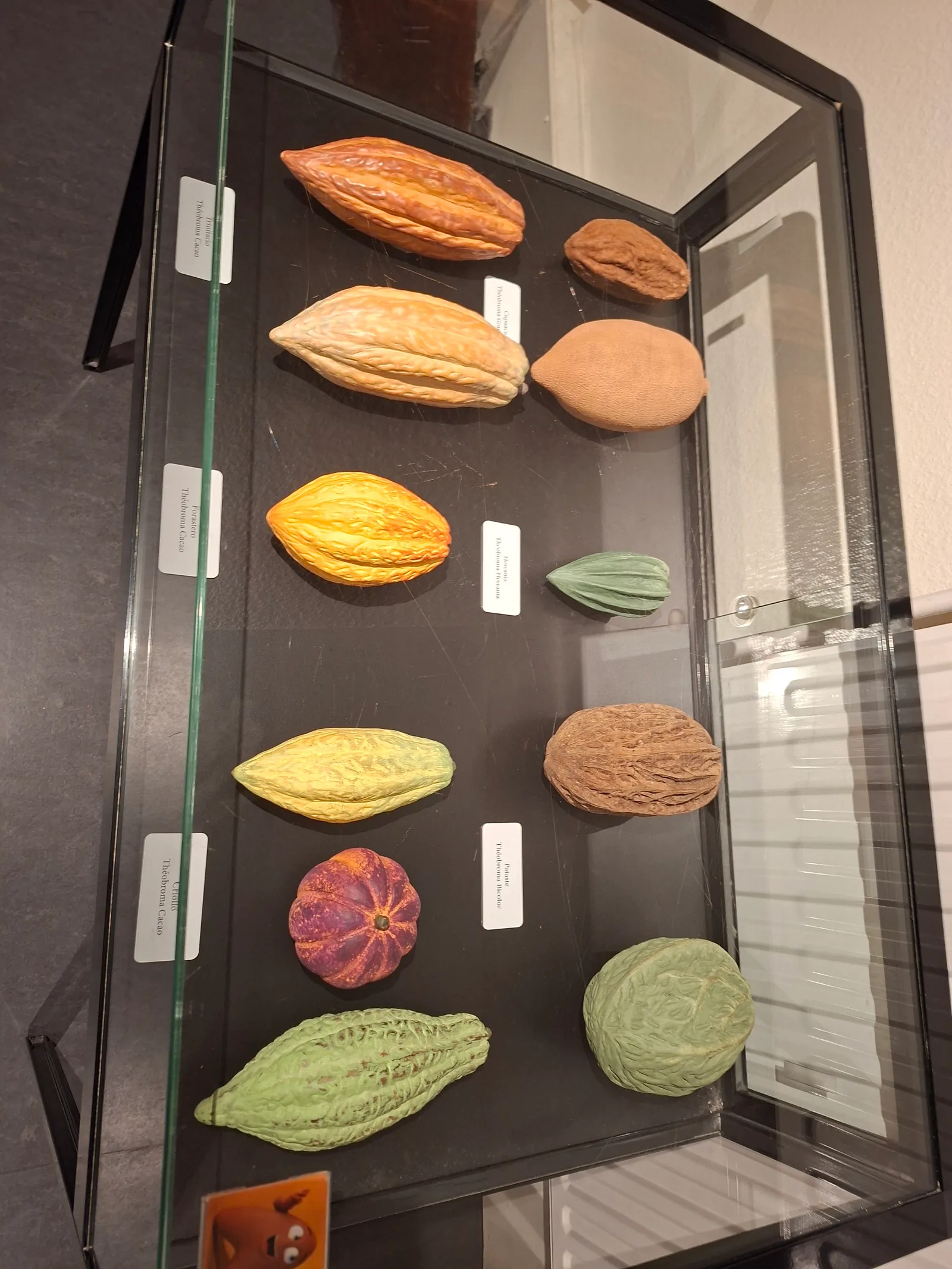 Main view at Choco-Story, Chocolate Museum Brugge — travel photo