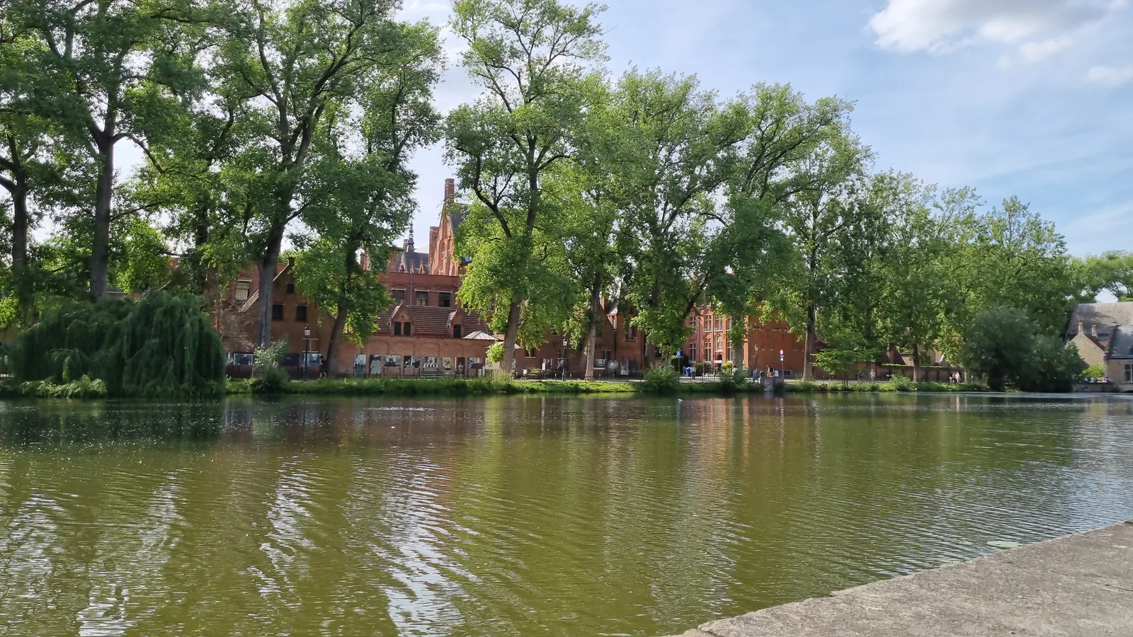 Details at Lake of Love Brugge — travel photo