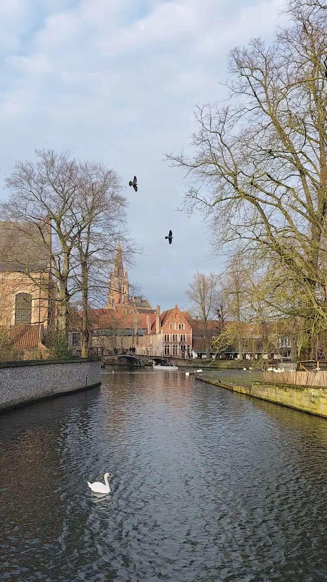 Atmosphere at Lake of Love Brugge — travel photo