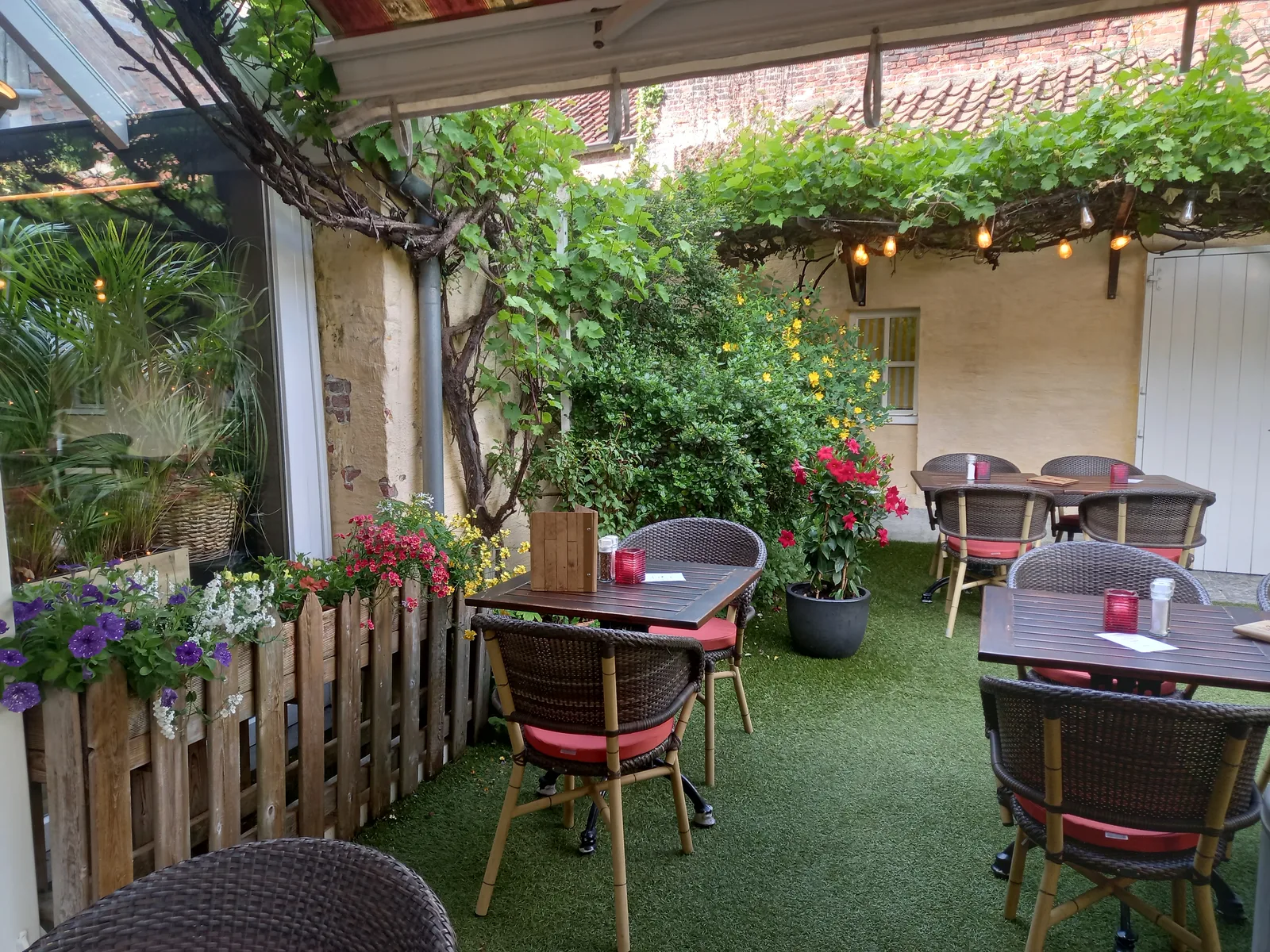 Main view at Mojo Brugge — travel photo