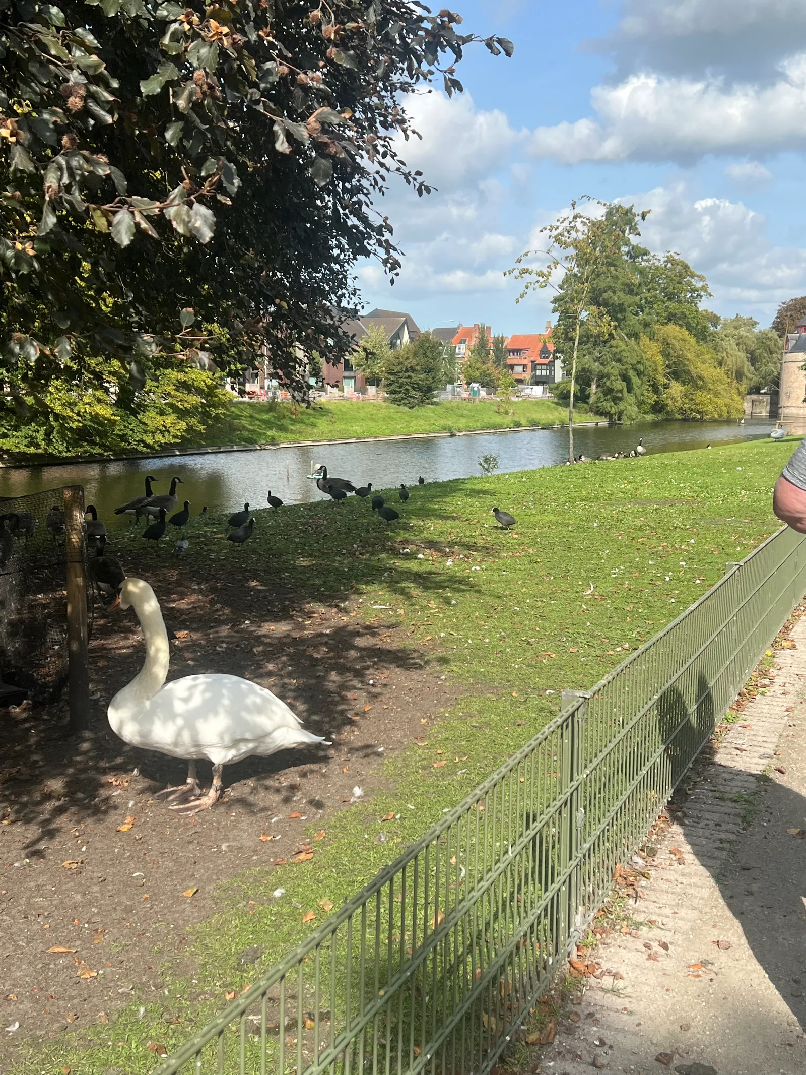 Details at Park 't Stil Ende Brugge — travel photo