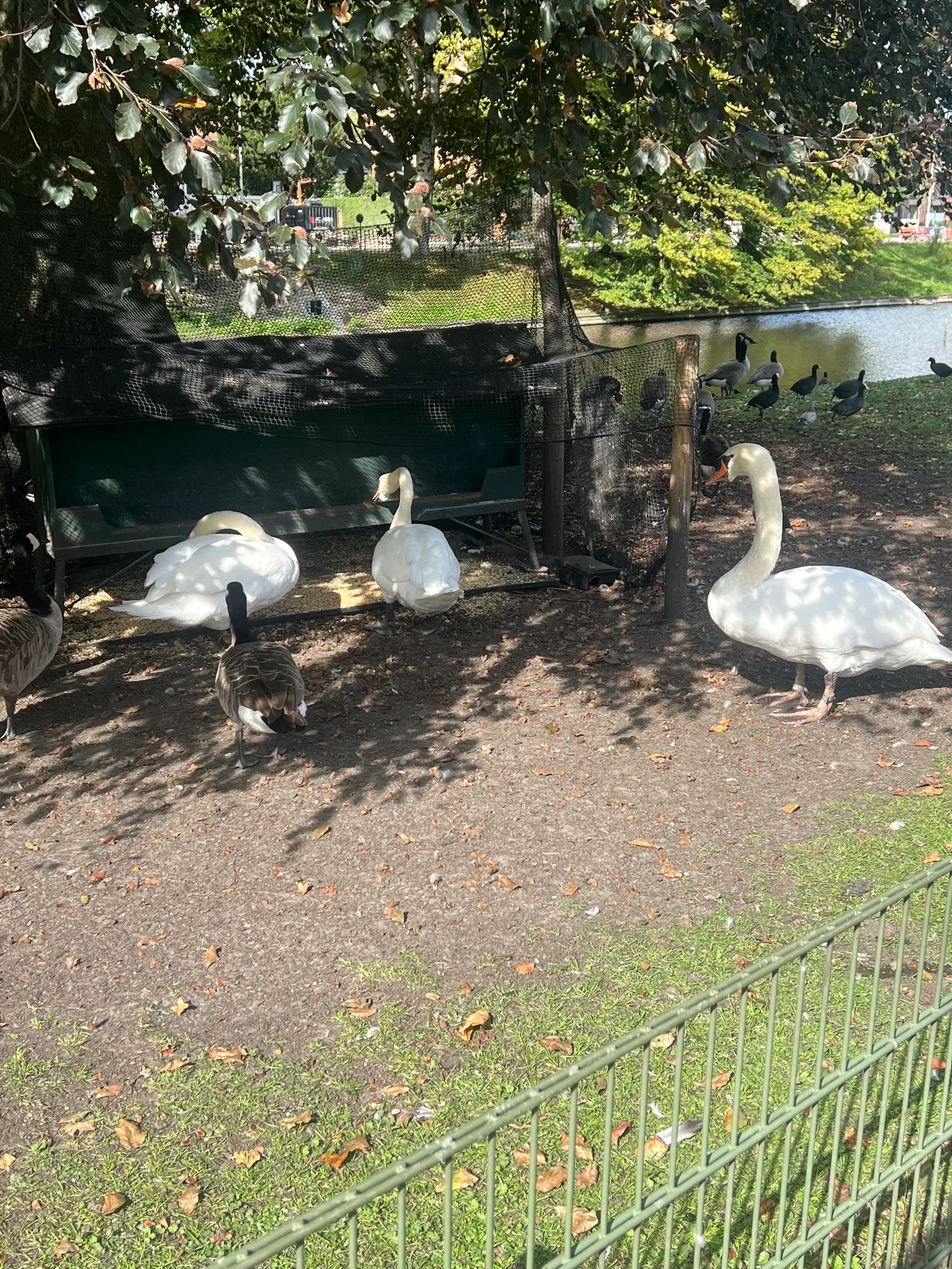 Atmosphere at Park 't Stil Ende Brugge — travel photo