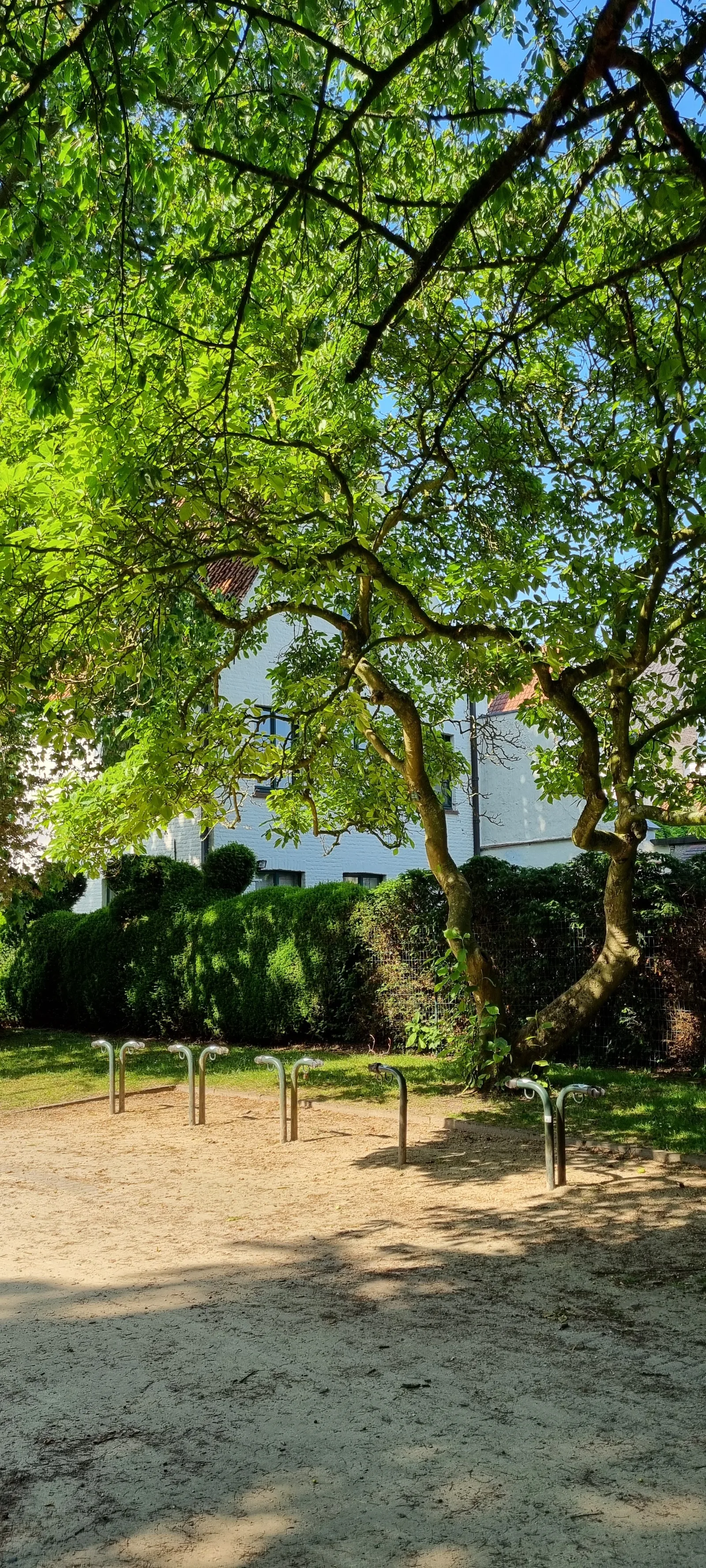 Details at Sebrechtspark Brugge — travel photo