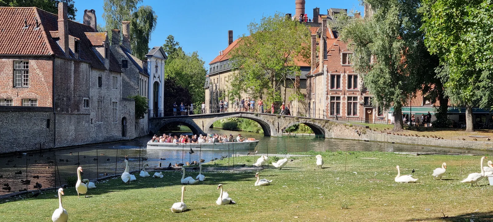 Details at Wijngaardplein Brugge — travel photo