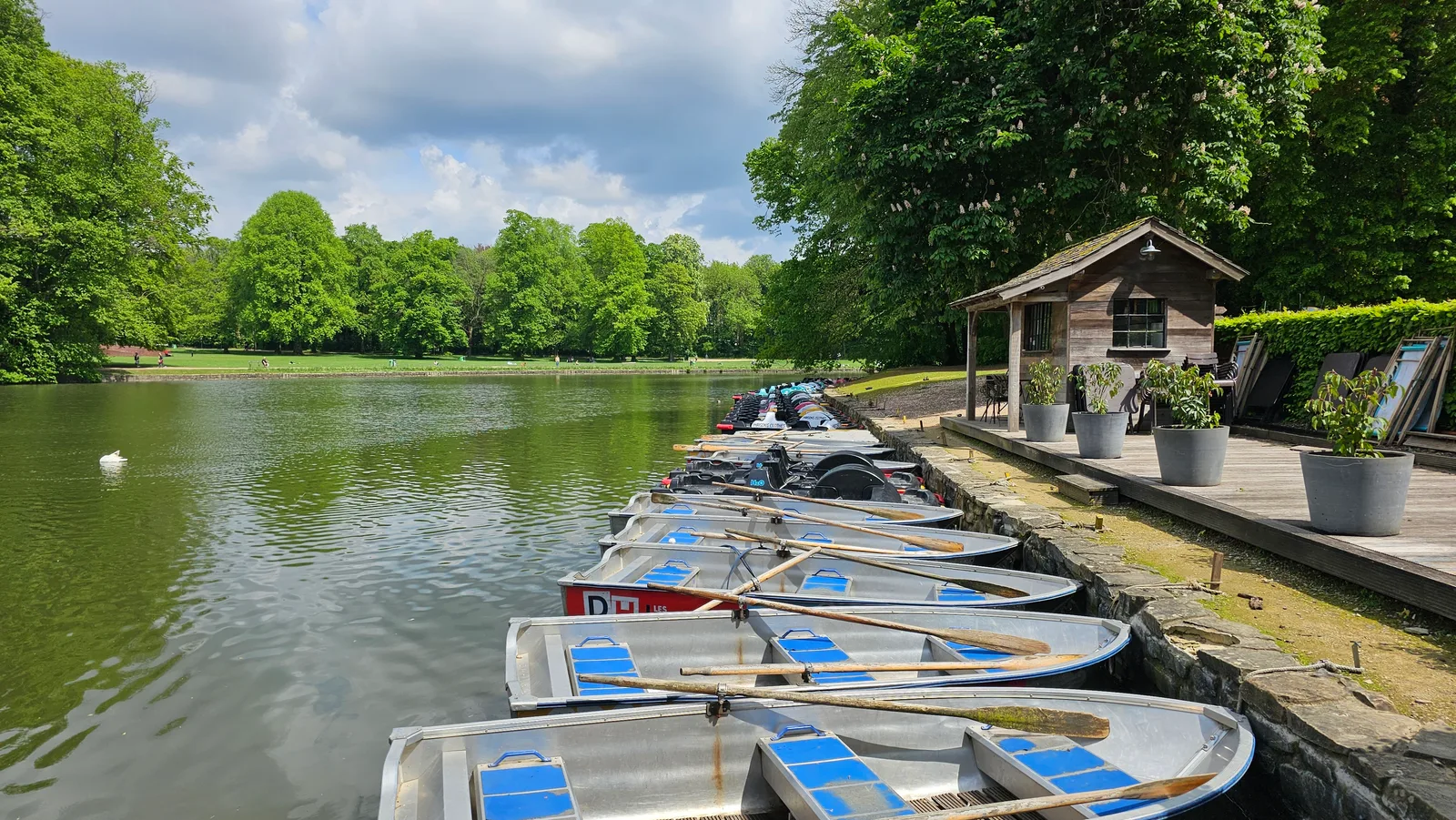 Atmosphere at Cambre Woods Brussels — travel photo