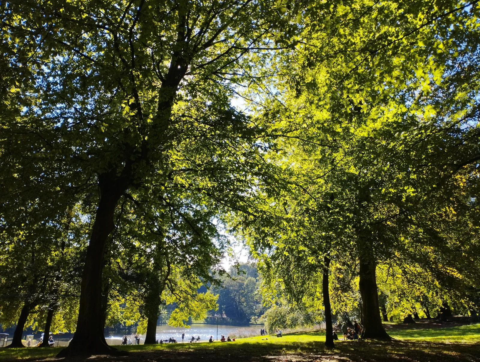 Cambre Woods — family guide Brussels