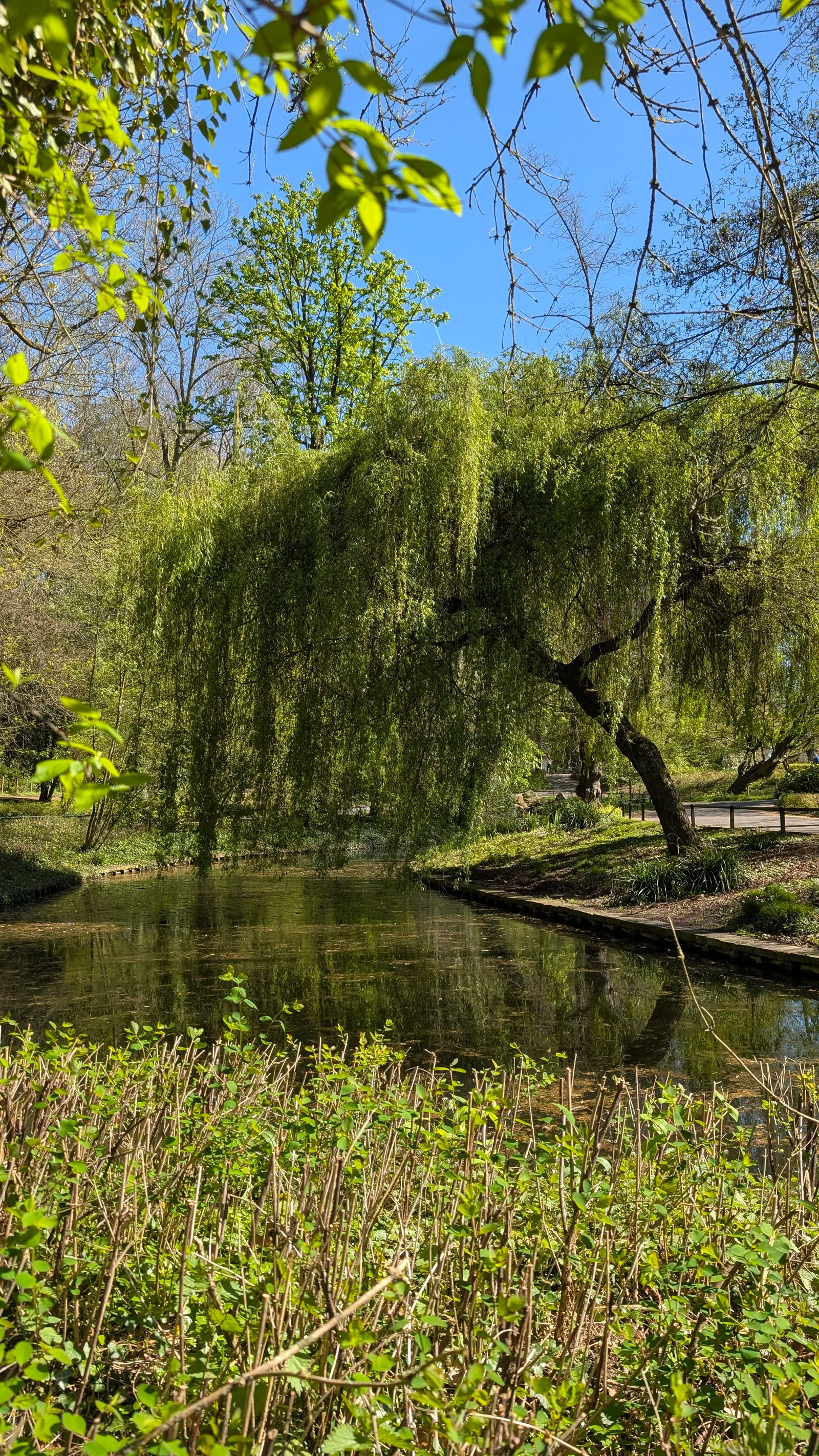 Details at Josaphat Park Brussels — travel photo