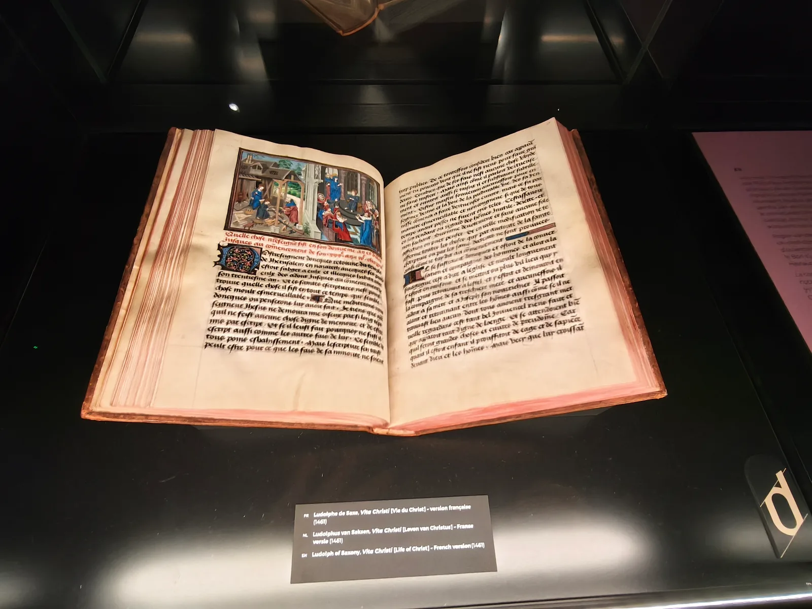 Atmosphere at KBR museum Brussels — travel photo