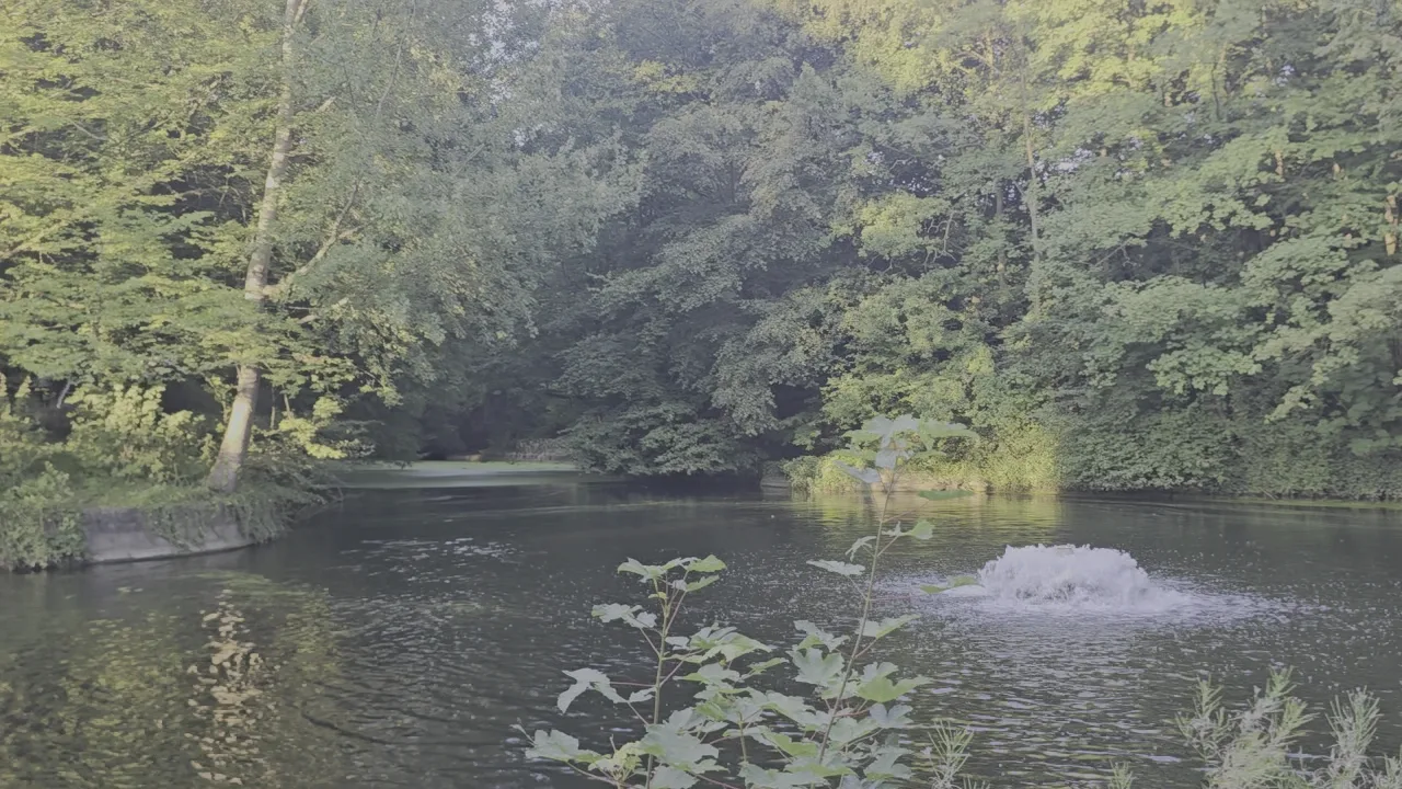 Main view at Ossegempark Brussels — travel photo