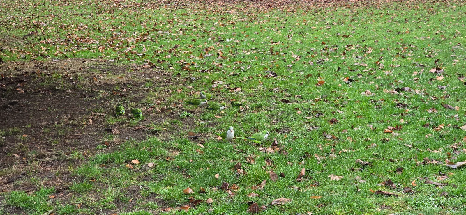 Atmosphere at Parc de Forest Brussels — travel photo