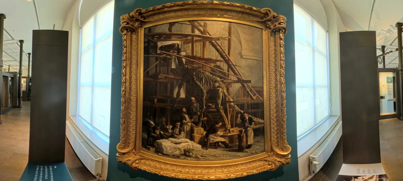 Interior at Royal Belgian institute of Natural Sciences Brussels — travel photo