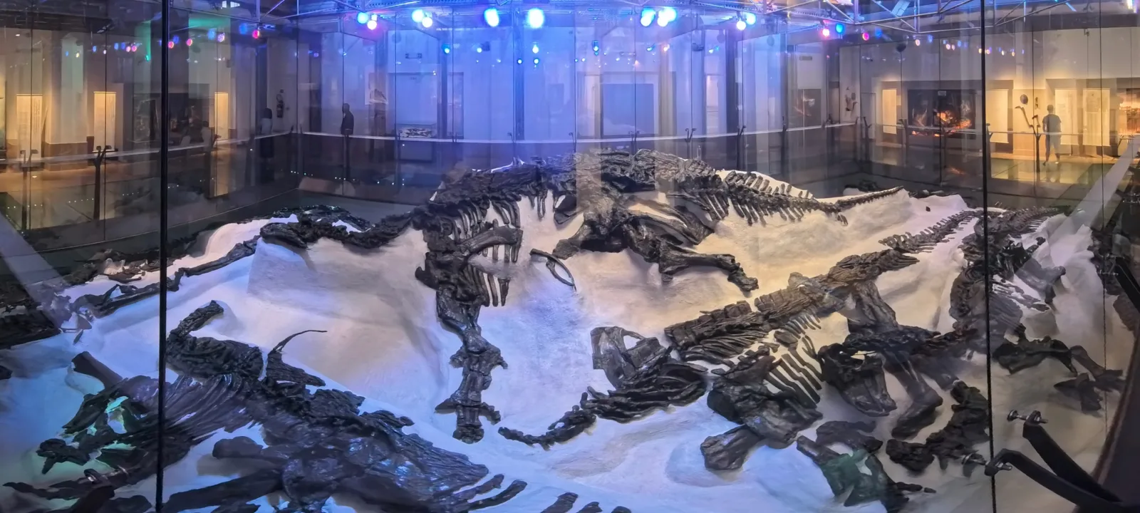 Atmosphere at Royal Belgian institute of Natural Sciences Brussels — travel photo