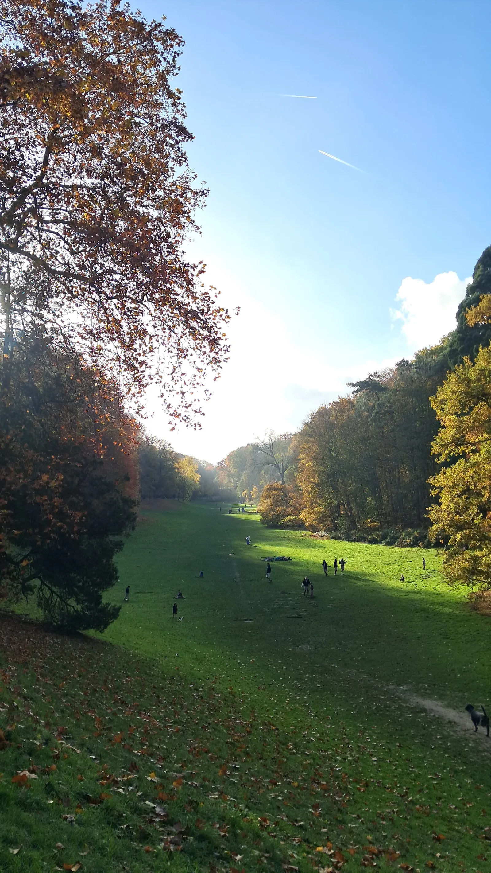 Details at Woluwe Park Brussels — travel photo