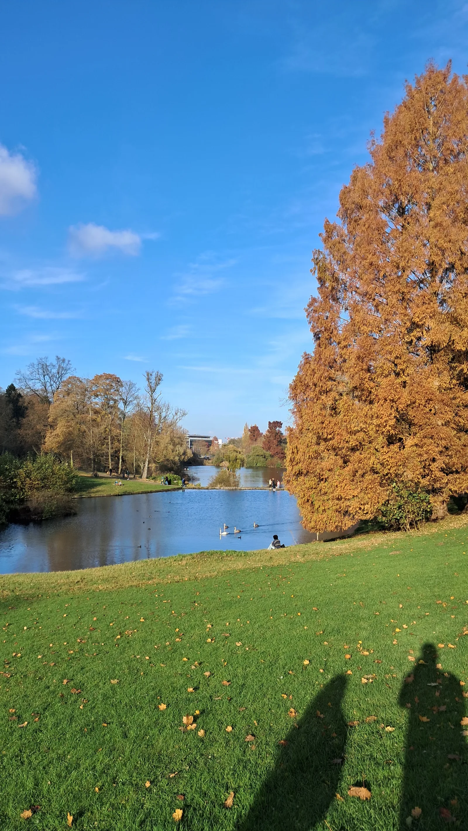 Atmosphere at Woluwe Park Brussels — travel photo