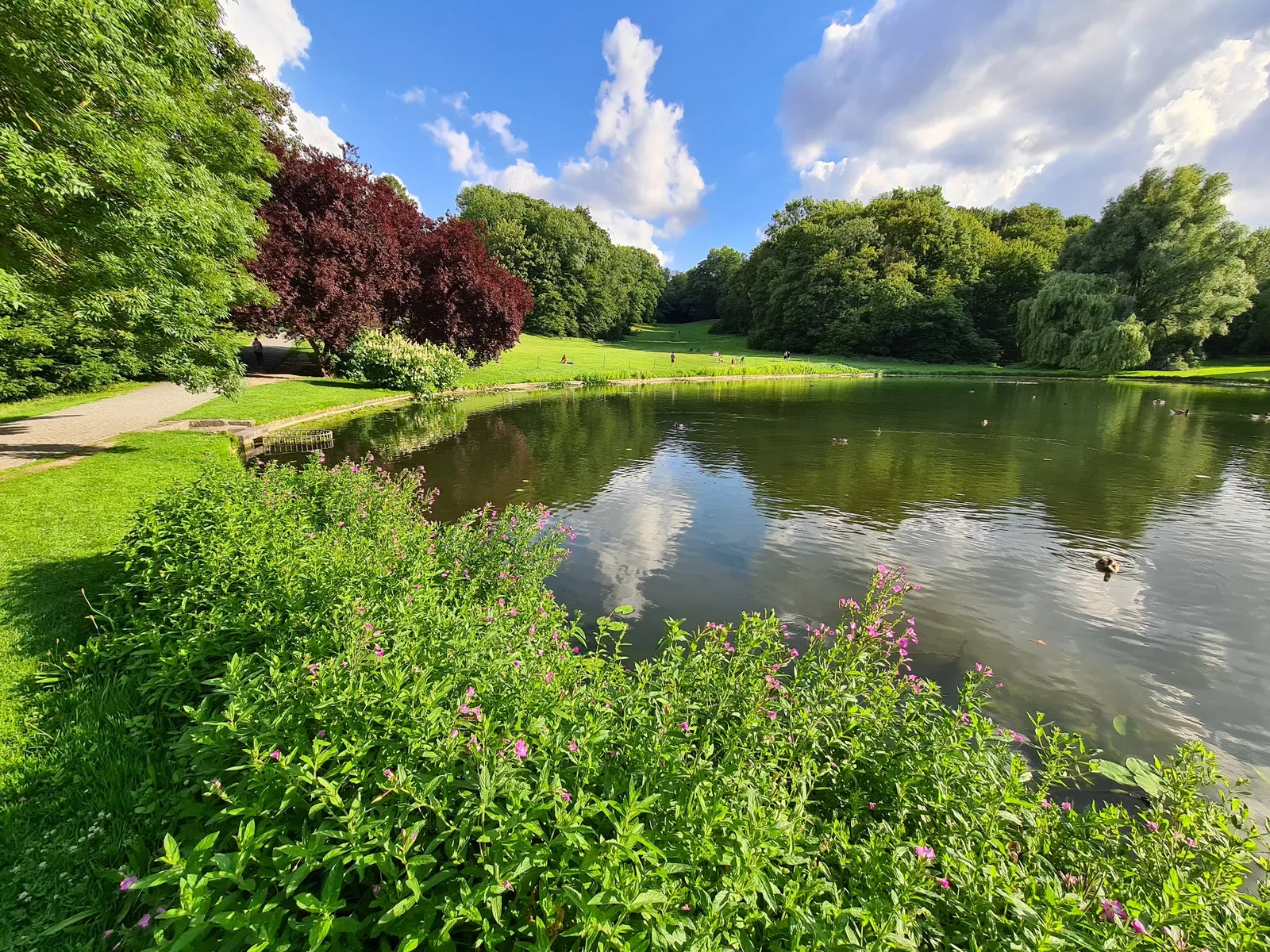 Woluwe Park β budget guide Brussels