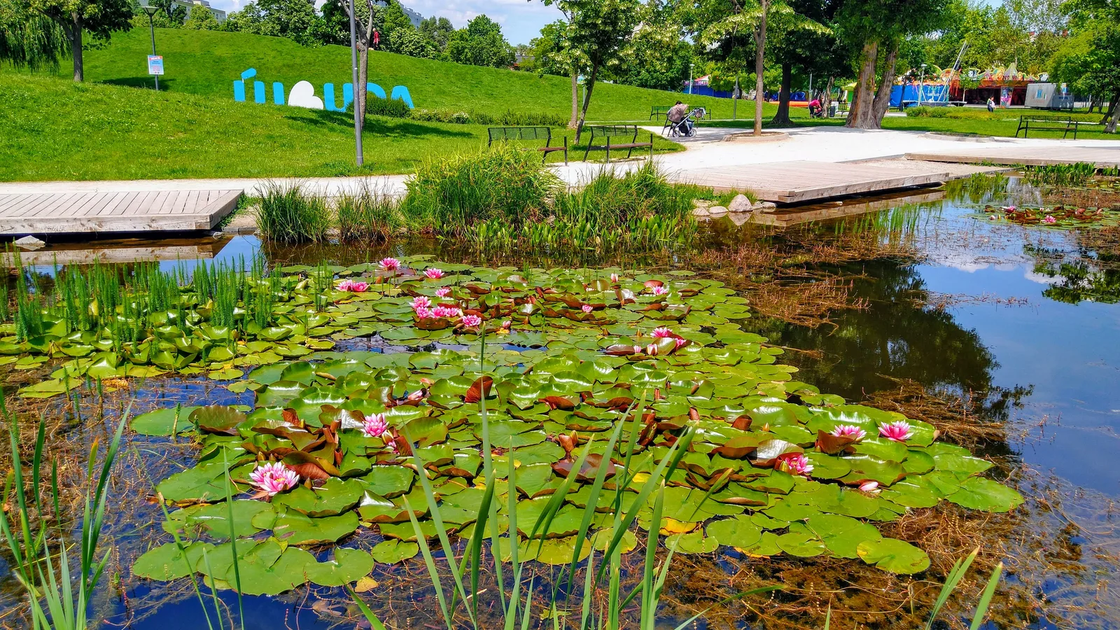 Atmosphere at Bikás park Budapest — travel photo