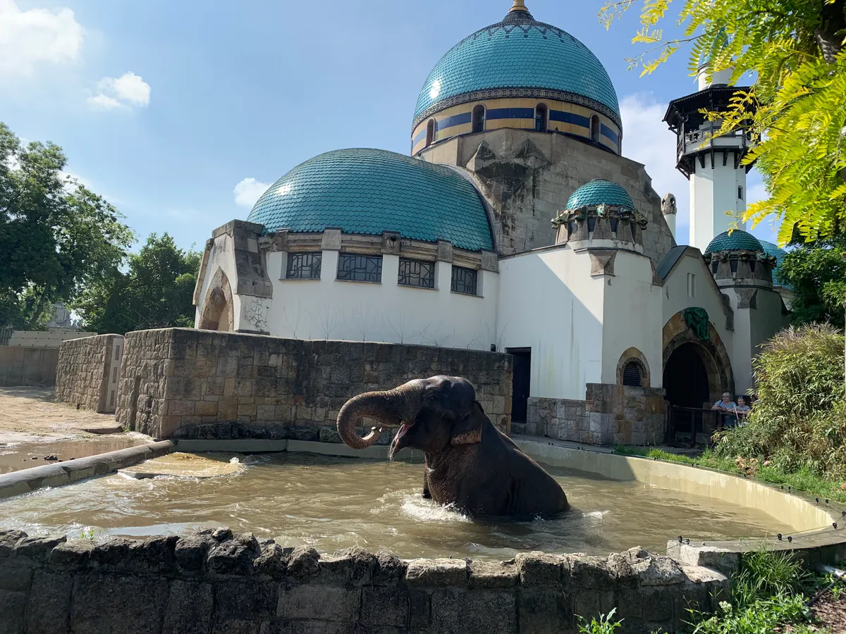 Details at Budapest Zoo & Botanical Garden Budapest — travel photo