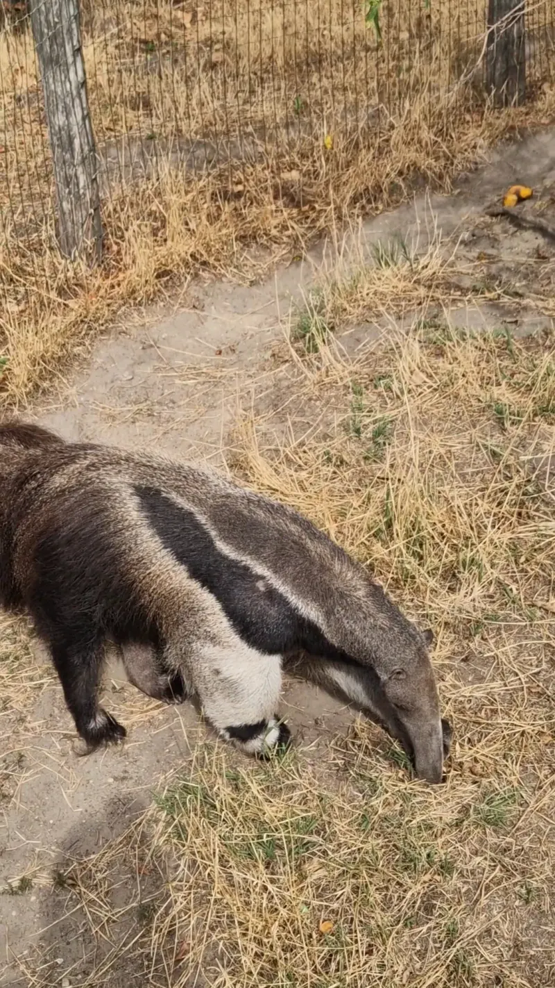 Budapest Zoo & Botanical Garden in Budapest