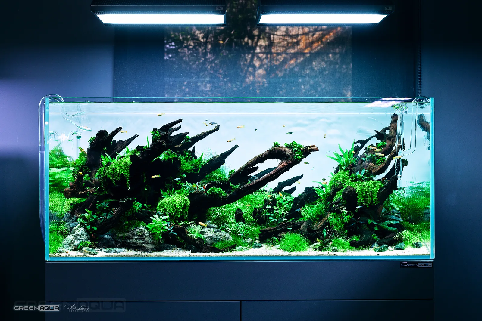 Details at Green Aqua Budapest — travel photo