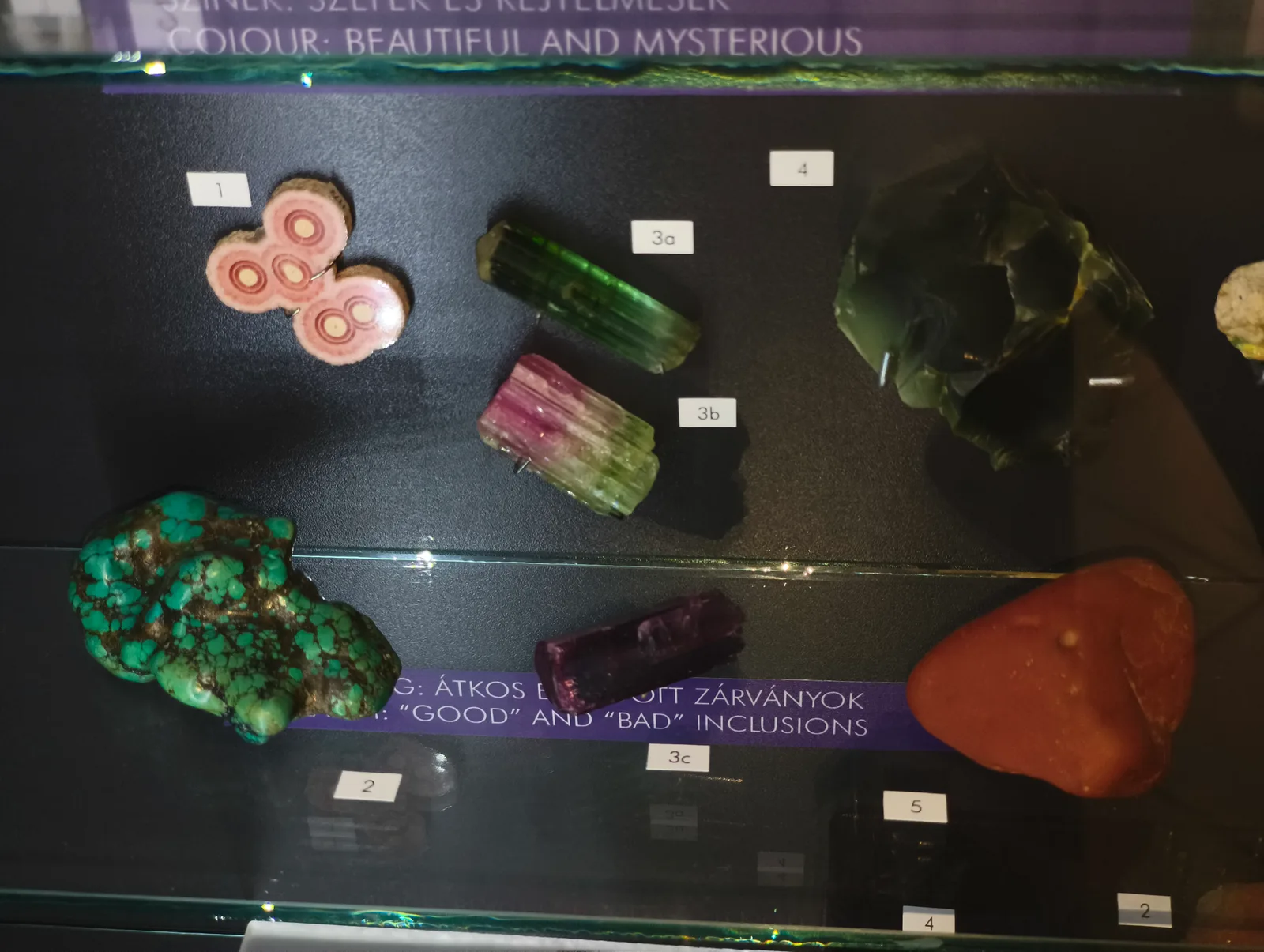 Interior at Hungarian Natural History Museum Budapest — travel photo