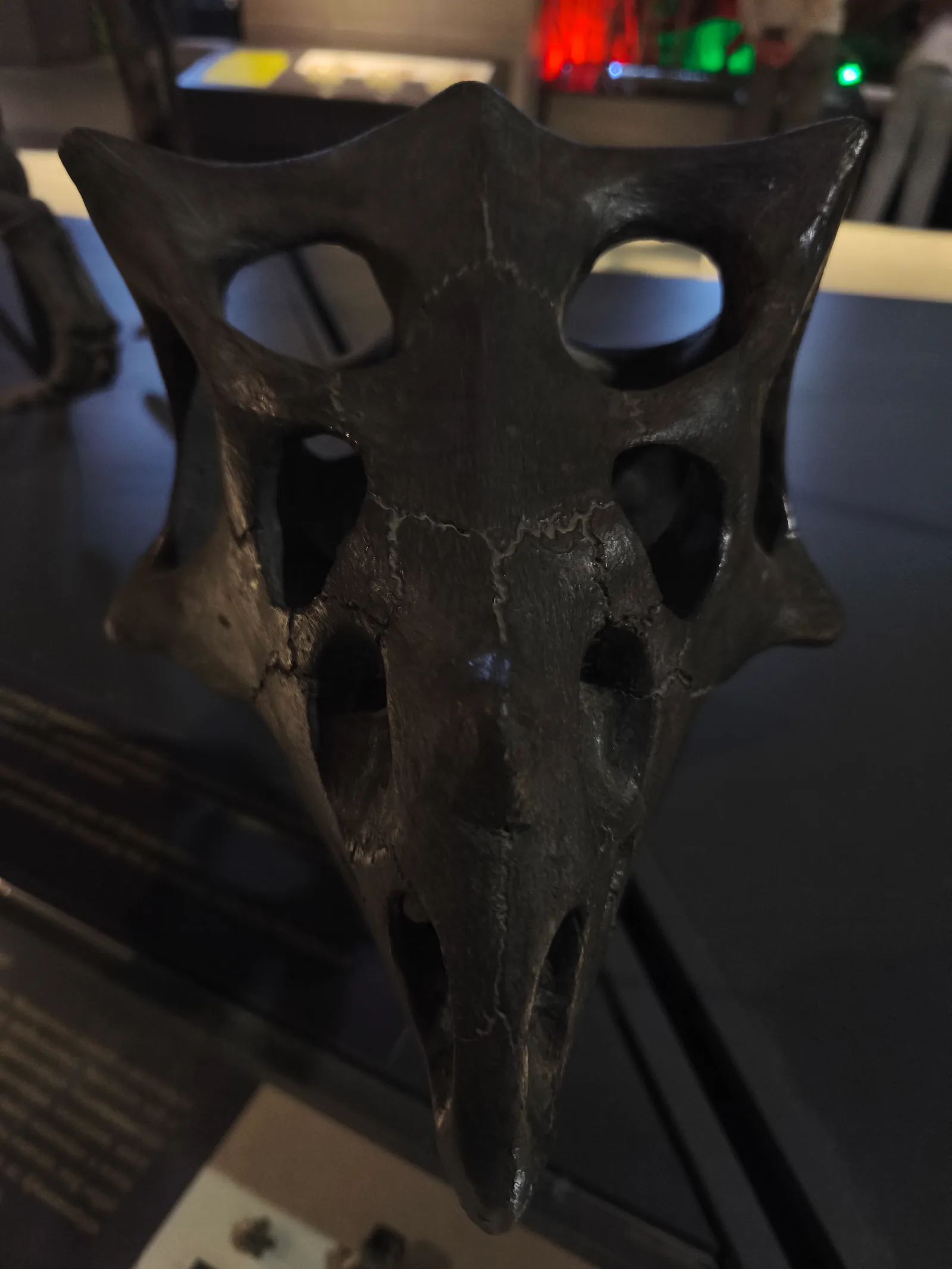 Details at Hungarian Natural History Museum Budapest — travel photo
