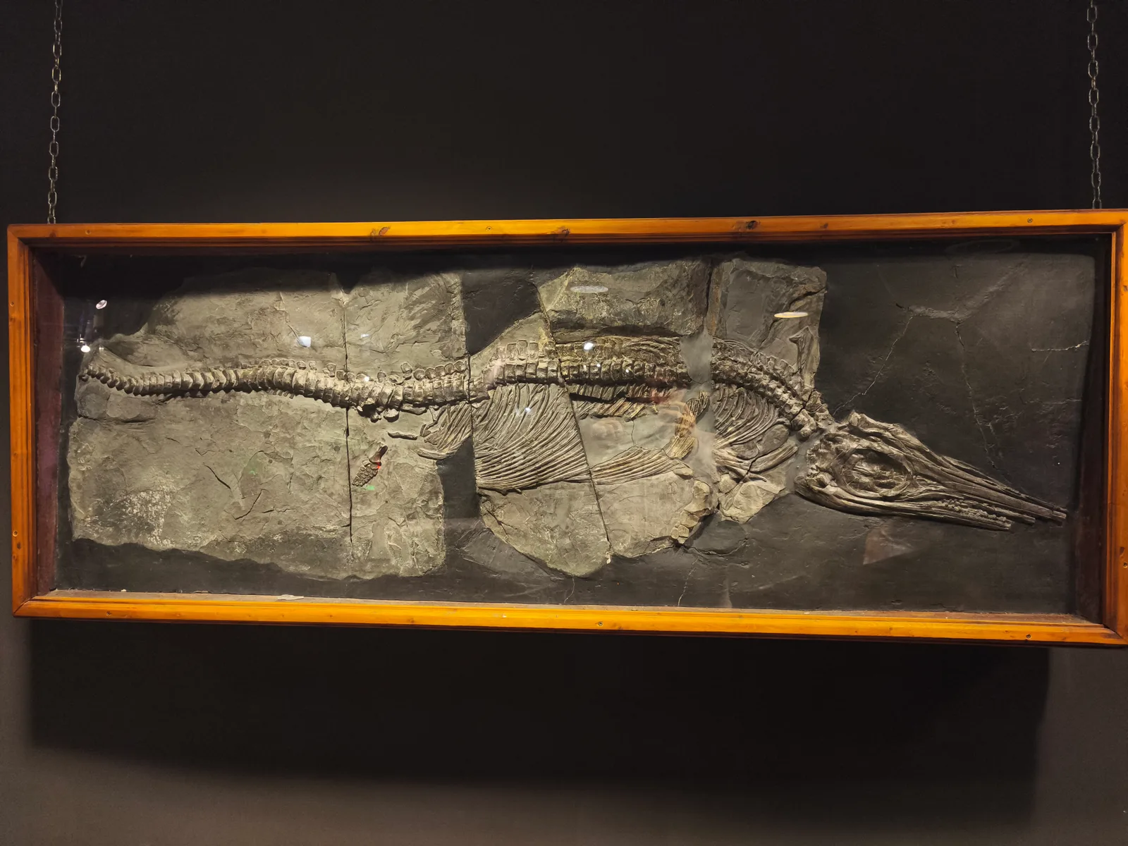 Atmosphere at Hungarian Natural History Museum Budapest — travel photo