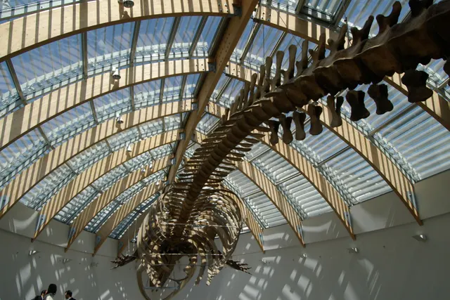 Hungarian Natural History Museum â Museum in Budapest
