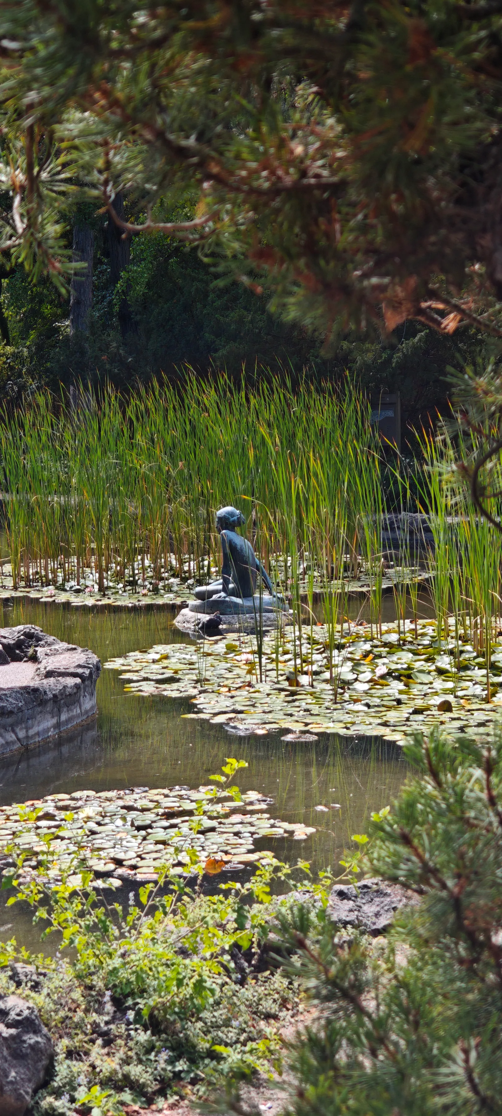Main view at Japanese Garden Budapest — travel photo