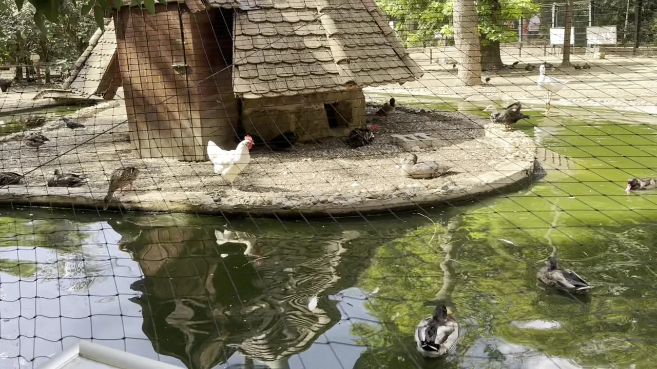 Main view at Margaret Island Mini Zoo Budapest — travel photo
