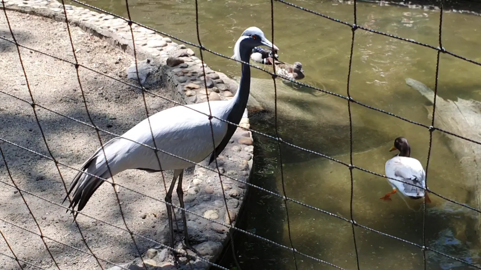 Interior at Margaret Island Mini Zoo Budapest — travel photo