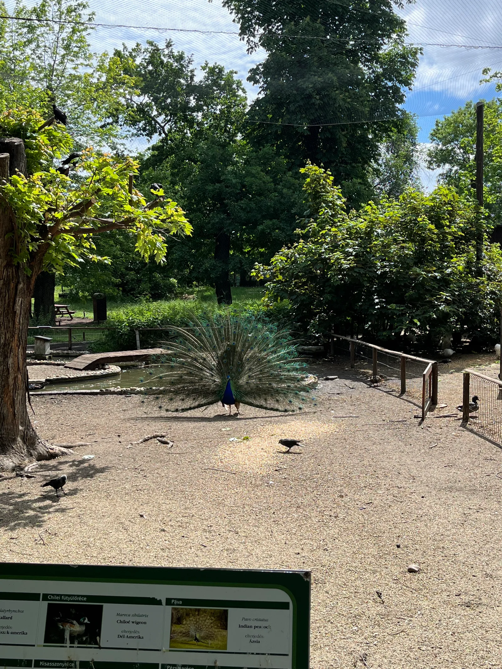 Details at Margaret Island Mini Zoo Budapest — travel photo