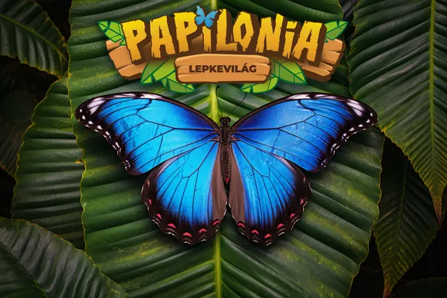 Papilonia Lepkevilág Budapest - Butterfly House