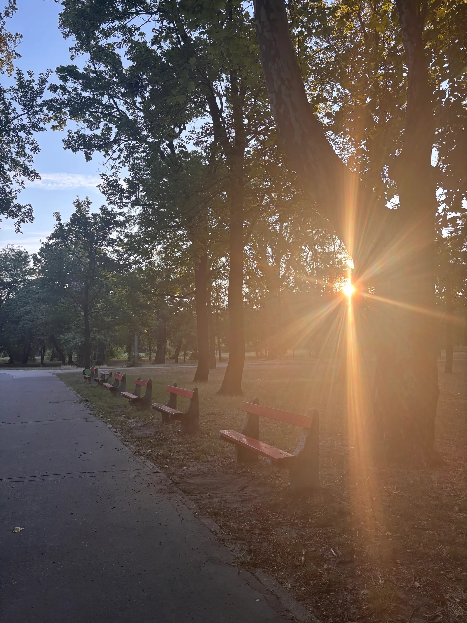Main view at Park Népliget Budapest — travel photo
