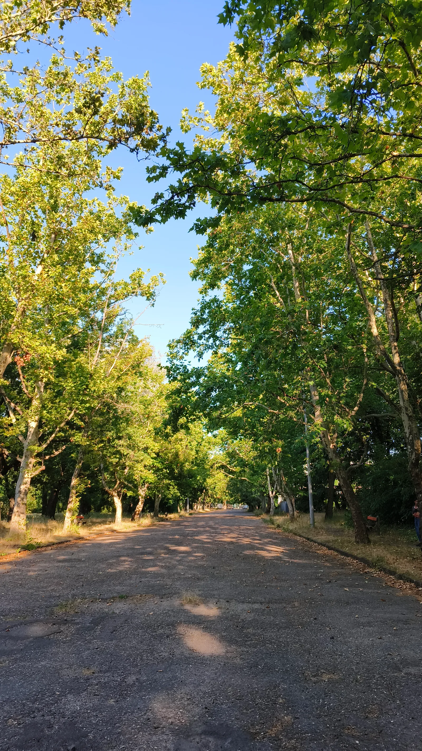 Atmosphere at Park Népliget Budapest — travel photo