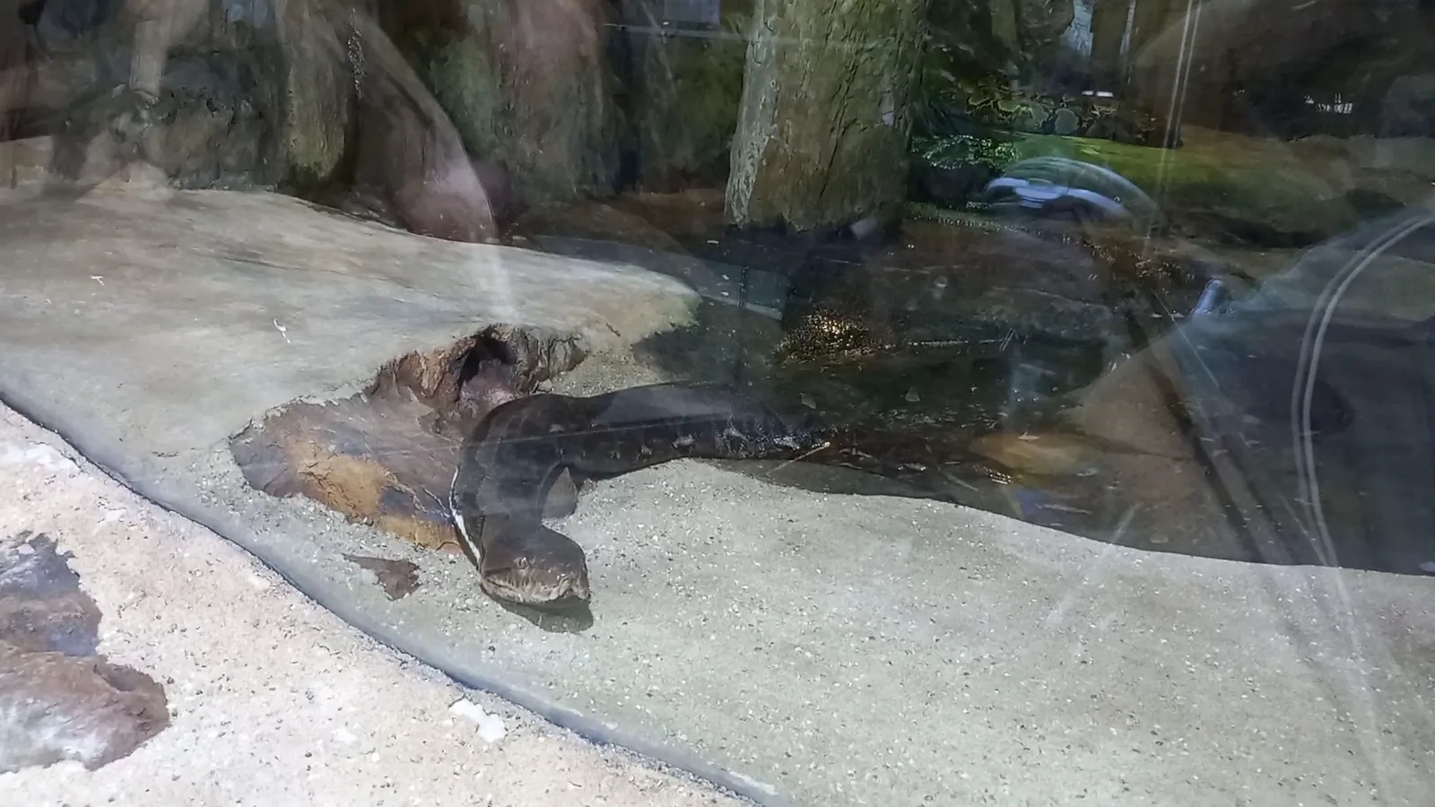Interior at Tropicarium-Oceanarium Kft. Budapest — travel photo