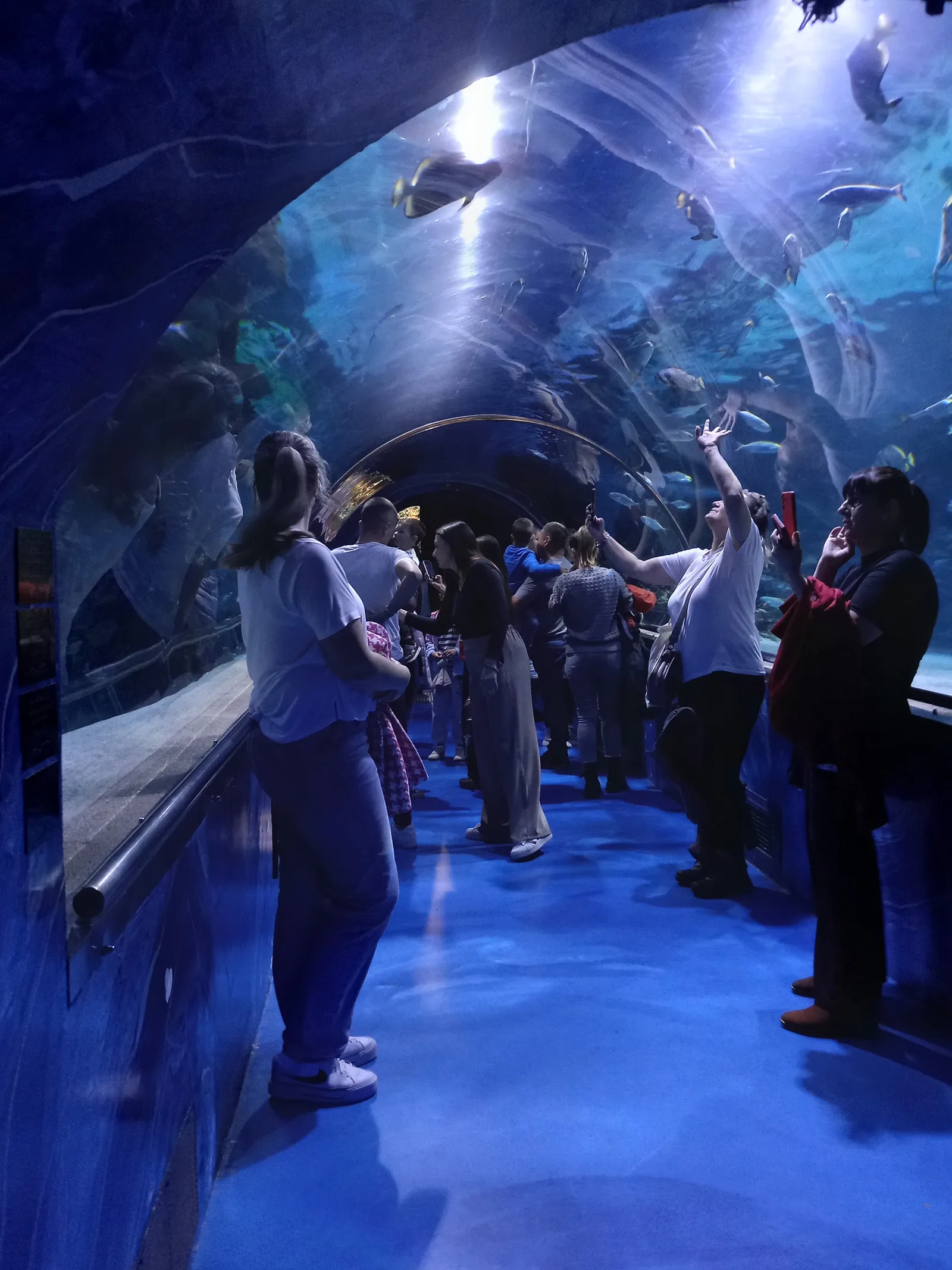 Details at Tropicarium-Oceanarium Kft. Budapest — travel photo